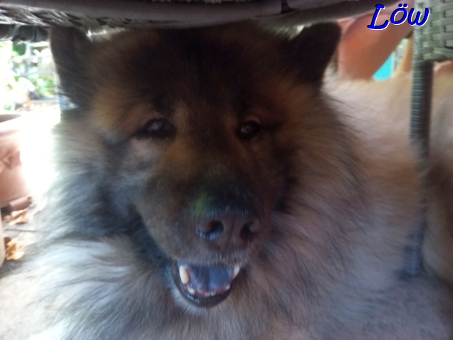 5.7.2025 - Blick von unten